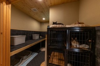 猫の部屋　注文住宅の新築事例